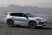 volkswagen-tayron-nestandard1